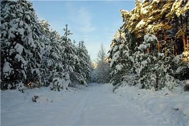 《装甲核心6》Steam新史低 售价178.8元